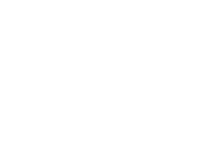 ubiquit1_1